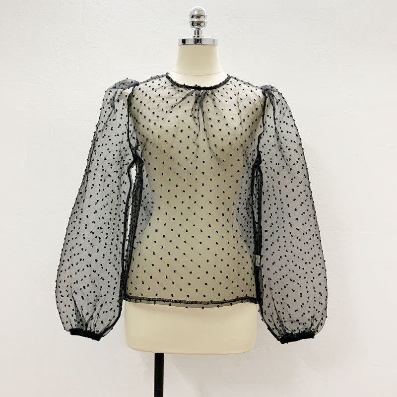 Sexy perspective lantern sleeve mesh gown